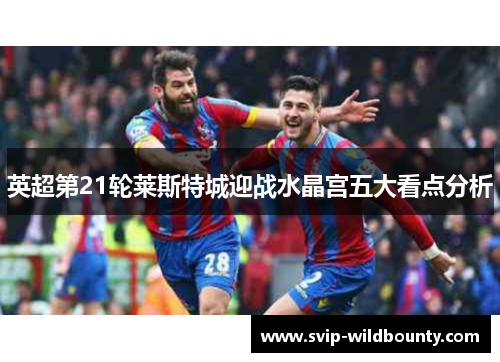 英超第21轮莱斯特城迎战水晶宫五大看点分析