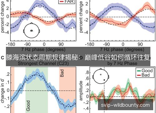 滕海滨状态周期规律揭秘:巅峰低谷如何循环往复 滕海滨状态周期规律揭秘:巅峰低谷如何循环往复